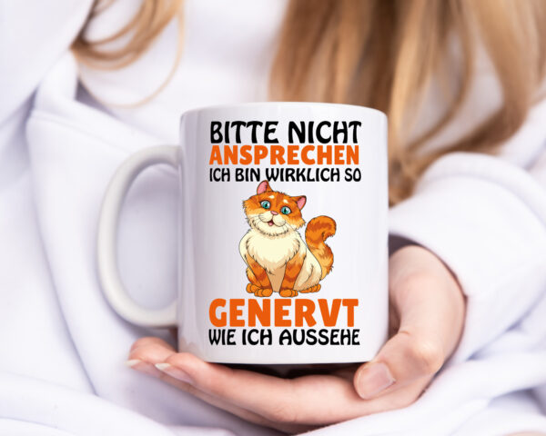 Bitte nicht Ansprechen - Tasse Weiss - Kaffeetasse / Geschenk / Familie