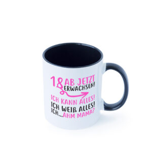 18 Ab jetzt erwachsen Farbige Tasse - Kaffeetasse / Geschenk / Familie