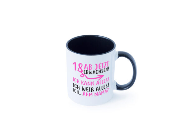 18 Ab jetzt erwachsen Farbige Tasse - Kaffeetasse / Geschenk / Familie