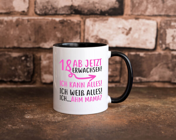 18 Ab jetzt erwachsen Farbige Tasse - Kaffeetasse / Geschenk / Familie